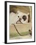 Bulldog, 1927-Cecil Aldin-Framed Giclee Print