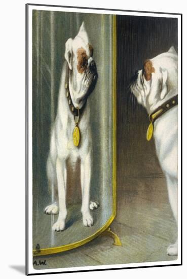 Bulldog Admires Its Reflection in a Distorting Mirror-null-Mounted Art Print