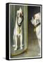 Bulldog Admires Its Reflection in a Distorting Mirror-null-Framed Stretched Canvas