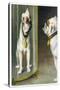 Bulldog Admires Its Reflection in a Distorting Mirror-null-Stretched Canvas