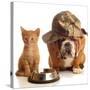 Bulldog and Cat at Food Dish Together-Willee Cole-Stretched Canvas