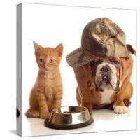 Bulldog and Cat at Food Dish Together-Willee Cole-Stretched Canvas