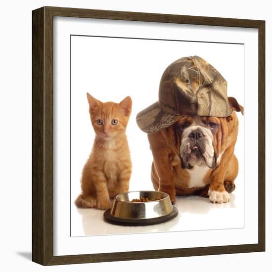 Bulldog and Cat at Food Dish Together-Willee Cole-Framed Photographic Print