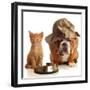 Bulldog and Cat at Food Dish Together-Willee Cole-Framed Photographic Print