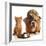 Bulldog and Cat at Food Dish Together-Willee Cole-Framed Photographic Print