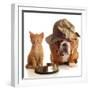 Bulldog and Cat at Food Dish Together-Willee Cole-Framed Photographic Print