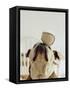 Bulldog Balancing Ball on Nose-Larry Williams-Framed Stretched Canvas