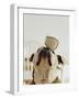 Bulldog Balancing Ball on Nose-Larry Williams-Framed Photographic Print