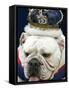 Bulldog Beauty-Charlie Neibergall-Framed Stretched Canvas