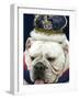 Bulldog Beauty-Charlie Neibergall-Framed Photographic Print