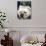 Bulldog Beauty-Charlie Neibergall-Photographic Print displayed on a wall