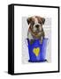 Bulldog Bucket of Love Blue-Fab Funky-Framed Stretched Canvas