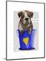 Bulldog Bucket of Love Blue-Fab Funky-Mounted Art Print