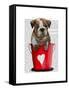 Bulldog Bucket of Love Red-Fab Funky-Framed Stretched Canvas