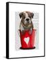 Bulldog Bucket of Love Red-Fab Funky-Framed Stretched Canvas