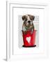 Bulldog Bucket of Love Red-Fab Funky-Framed Art Print