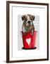 Bulldog Bucket of Love Red-Fab Funky-Framed Art Print