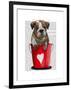 Bulldog Bucket of Love Red-Fab Funky-Framed Art Print