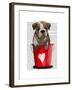 Bulldog Bucket of Love Red-Fab Funky-Framed Art Print