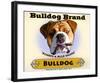Bulldog Cigar-Brian Rubenacker-Framed Art Print