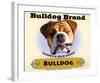 Bulldog Cigar-Brian Rubenacker-Framed Art Print