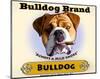 Bulldog Cigar-Brian Rubenacker-Mounted Art Print