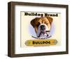 Bulldog Cigar-Brian Rubenacker-Framed Art Print