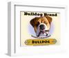 Bulldog Cigar-Brian Rubenacker-Framed Art Print