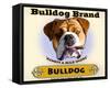 Bulldog Cigar-Brian Rubenacker-Framed Stretched Canvas