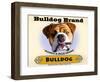 Bulldog Cigar-Brian Rubenacker-Framed Art Print