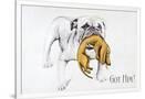 Gramercy White