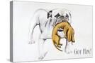 Stretched Canvas