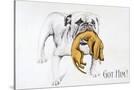 Stretched Canvas