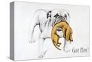 Stretched Canvas