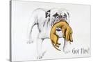 Stretched Canvas