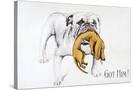 Stretched Canvas