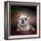 Bulldog Hanging Out-Jai Johnson-Framed Giclee Print