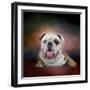 Bulldog Hanging Out-Jai Johnson-Framed Giclee Print