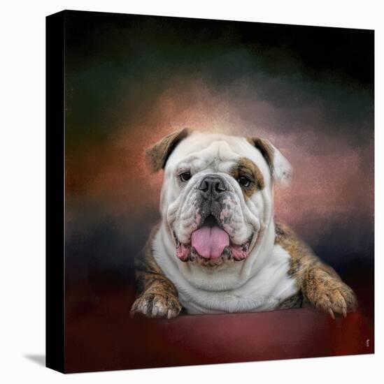 Bulldog Hanging Out-Jai Johnson-Stretched Canvas