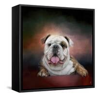 Bulldog Hanging Out-Jai Johnson-Framed Stretched Canvas