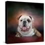 Bulldog Hanging Out-Jai Johnson-Stretched Canvas
