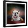 Bulldog Hanging Out-Jai Johnson-Framed Giclee Print