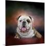 Bulldog Hanging Out-Jai Johnson-Mounted Giclee Print