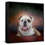Bulldog Hanging Out-Jai Johnson-Framed Stretched Canvas