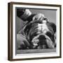 Bulldog Having Whiskers Clipped with Stubby Pair of Scissors in Preparation for Westminister Show-George Silk-Framed Photographic Print