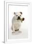 Gramercy White