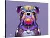 Bulldog I-Fernando Palma-Stretched Canvas