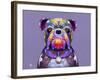 Bulldog I-Fernando Palma-Framed Giclee Print