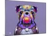 Bulldog I-Fernando Palma-Mounted Giclee Print