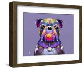 Bulldog I-Fernando Palma-Framed Giclee Print